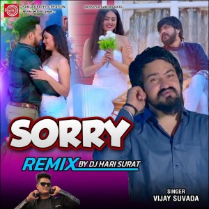 Album Sorry (Remix) from 