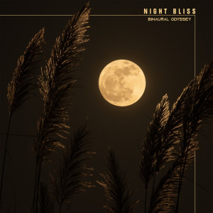 收听Binaural Odyssey的Night Bliss (Alpha Waves 55 Hz - 64 Hz)歌词歌曲