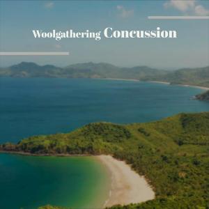 Album Woolgathering Concussion from Various