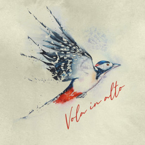 Listen to Vola in alto song with lyrics from Ruan