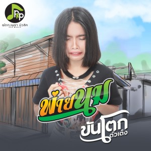 อัลบัม พ่ายนม [Instrumental] ศิลปิน ขันโตก ตัวเต็ง