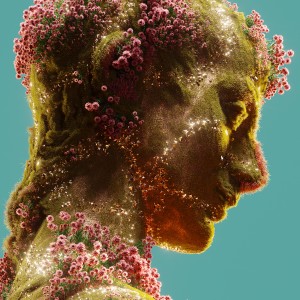 ดาวน์โหลดและฟังเพลง Reside พร้อมเนื้อเพลงจาก Evren Uysal