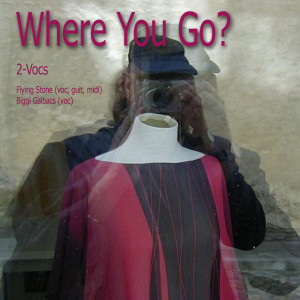 ดาวน์โหลดและฟังเพลง Where You Go? พร้อมเนื้อเพลงจาก 2-Vocs