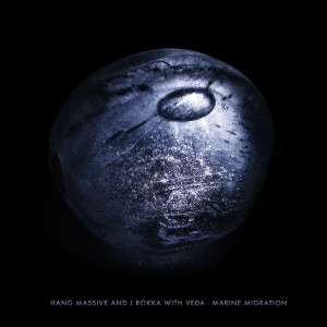 Listen to Marine Migration (J Rokka Acoustic Mix) [feat. Victoria Grebezs] (Acoustic Mix) song with lyrics from Hang Massive