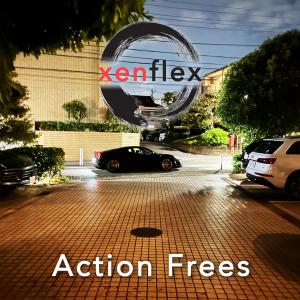 ดาวน์โหลดและฟังเพลง Action Frees พร้อมเนื้อเพลงจาก Xenflex