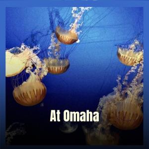 Various的专辑At Omaha