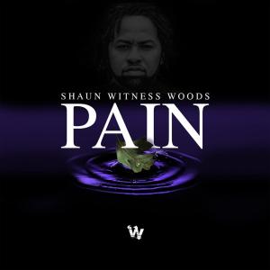Witness的專輯Pain