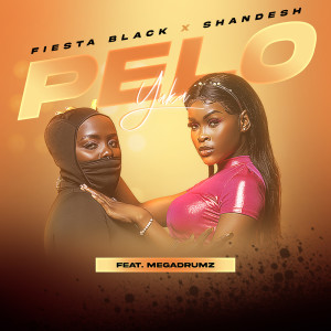 ดาวน์โหลดและฟังเพลง Pelo Yaka พร้อมเนื้อเพลงจาก Fiesta Black