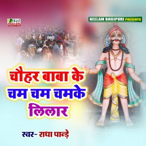 Listen to Ek Hath Me Ba Dhal (Bhojpuri) song with lyrics from Radha Panday