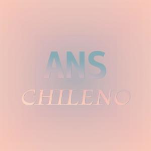 ดาวน์โหลดและฟังเพลง Ans Chileno พร้อมเนื้อเพลงจาก Jera Crin