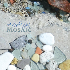 Album A Leslie Spit Mosaic from A Leslie Spit Mosaic