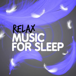 อัลบัม Relax: Music for Sleep ศิลปิน The ExpRelax