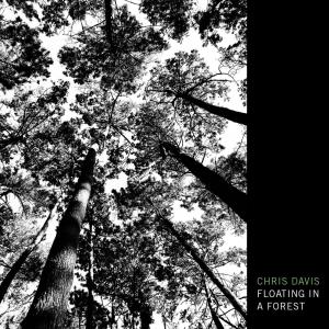 Chris Davis的专辑Floating In A Forest