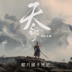 Listen to 天命 (那只猴子死后) song with lyrics from 小少焱