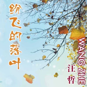 อัลบัม 纷飞的落叶 ศิลปิน 汪哲