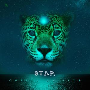 Album Star from 