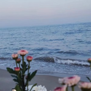 收聽夏陸的你就是我的風景歌詞歌曲