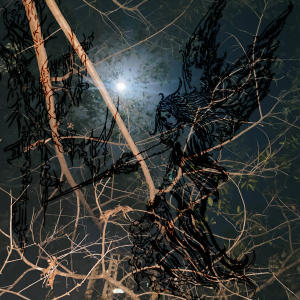 Soullord的專輯Evangelion (Explicit)