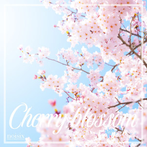 Weekly Piano的專輯Cherry Blossom