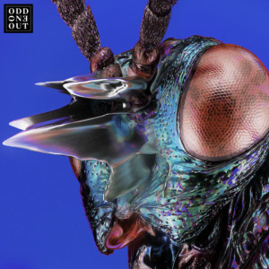 Album Nova (Cassian Remix) from YOTTO