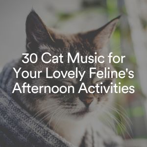 Music For Cats Peace的专辑30 Cat Music for Your Lovely Feline's Afternoon Activities