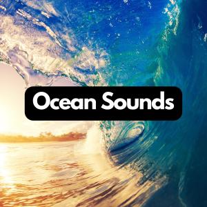 收听Ocean Sounds的Ocean Sounds to Relax, Pt. 100 (Ocean and Sea Sounds for Relaxation)歌词歌曲