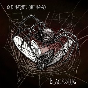 ดาวน์โหลดและฟังเพลง Hole in the Sun พร้อมเนื้อเพลงจาก Blackslug