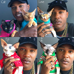 ดาวน์โหลดและฟังเพลง The Cat Rapper พร้อมเนื้อเพลงจาก iAmMoshow