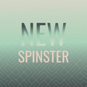 Album New Spinster from Various