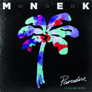 ดาวน์โหลดและฟังเพลง Paradise (Tunji Ige Remix) พร้อมเนื้อเพลงจาก MNEK