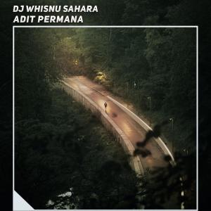 Album Dj Whisnu Sahara (Explicit) oleh Adit Permana