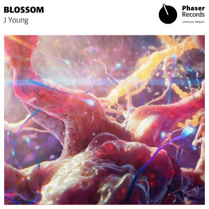 收聽J Young的Blossom歌詞歌曲