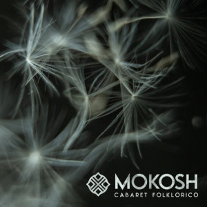 ดาวน์โหลดและฟังเพลง Jarebica (Matthew setzer Remix) พร้อมเนื้อเพลงจาก Mokosh