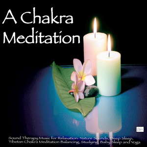 收聽A Chakra Meditation的Chakra Balancing, Nature Sounds Relaxation and Tibetan Chakra Meditation - Music for Relaxation Meditation, Sound Therapy, Deep Sleep, Studying, Healing Massage, Spa, Baby Sleep and Yoga歌詞歌曲