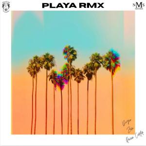 อัลบัม Playa (feat. Quinn Carter) [RMX] ศิลปิน Zam