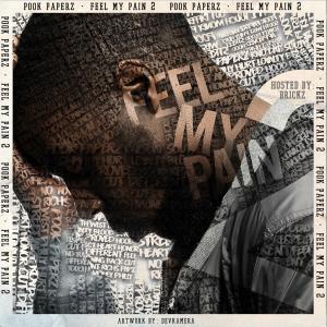 Pook Paperz的專輯Feel My Pain 2 (Hosted by Brickz) (Explicit)