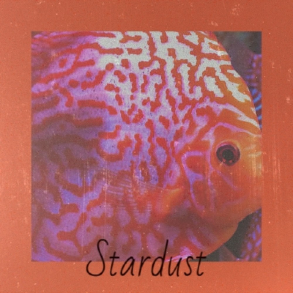 Stardust