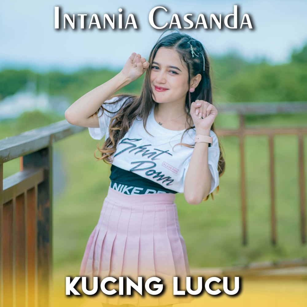 Kucing Lucu