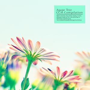 Various Artists的專輯Time To Celebrate The Springtime With Agape Tree (CCM Piano)
