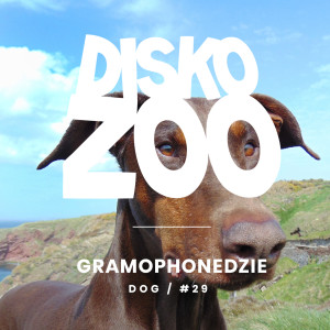 Listen to Heavy Jazz song with lyrics from Gramophonedzie