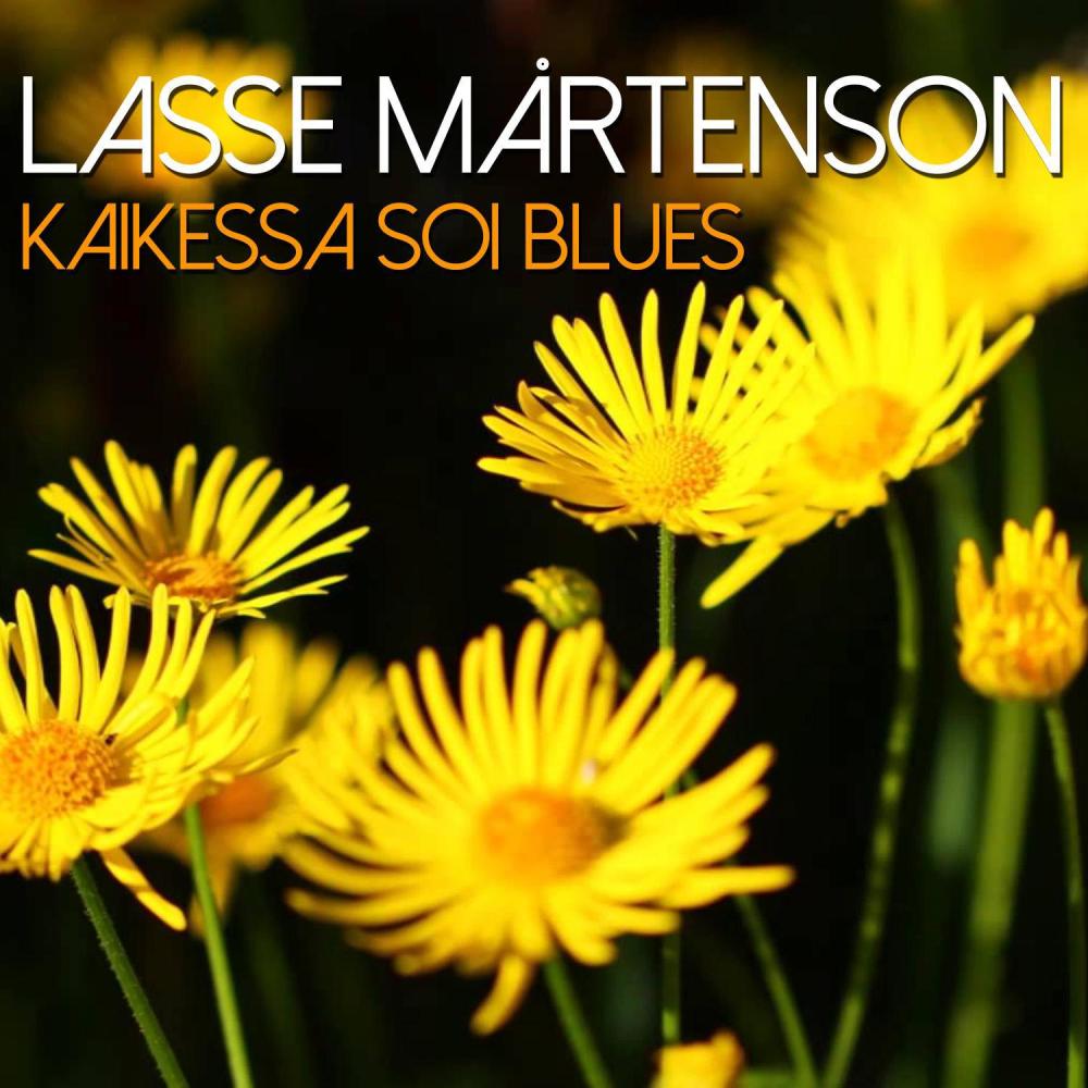 Kaikessa Soi Blues (其他)