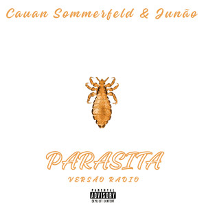 ดาวน์โหลดและฟังเพลง Parasita (Versão Radio) พร้อมเนื้อเพลงจาก Cauan Sommerfeld