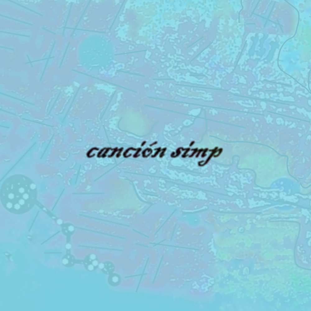Canción simp