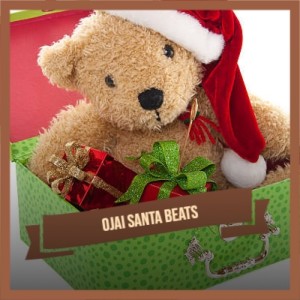 Listen to Carta a Santa Claus song with lyrics from Las Ardillitas De Lalo Guerrero