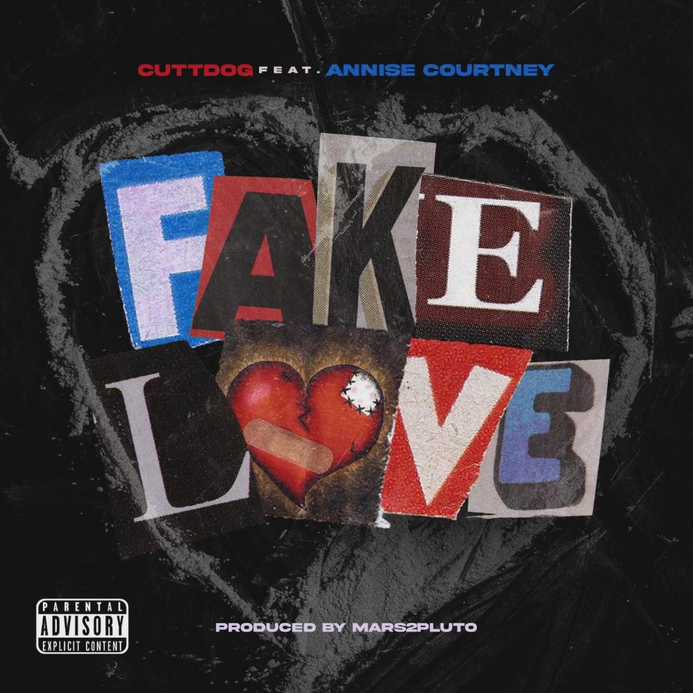 Fake Love (feat. Annise Courtney) (Explicit)