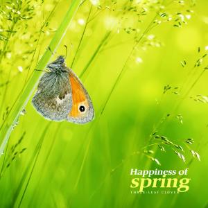 Album The happiness that spring brings from Three-leaf Clover