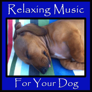 อัลบัม Relaxing Music for Your Dog ศิลปิน Pianissimo Brothers