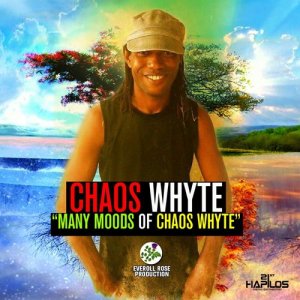 收聽Chaos Whyte的Do What You Feel歌詞歌曲