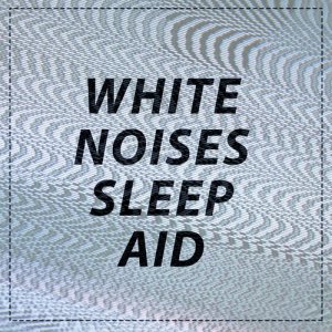 ดาวน์โหลดและฟังเพลง Whitenoise: Dual Fans พร้อมเนื้อเพลงจาก White Noise Sleep Aid