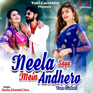 Album Neela Saya Mein Andhero from 